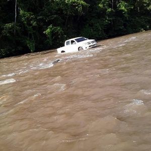 Meet your Posher, Sofia